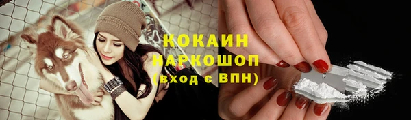 гашик Беломорск