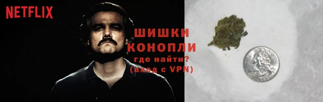 ALPHA PVP Белокуриха