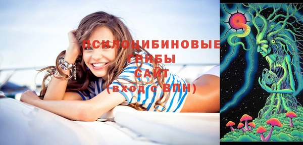 ALPHA PVP Белокуриха