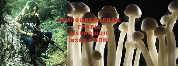 ALPHA PVP Белокуриха
